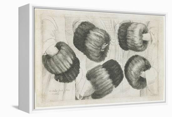 A Muff in Five Views, 1645-1646-Wenceslaus Hollar-Framed Premier Image Canvas