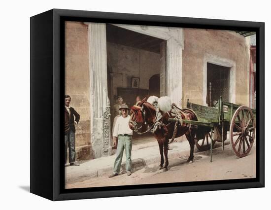 A Mule Cart in Havana Led by a Vendor-William Henry Jackson-Framed Stretched Canvas