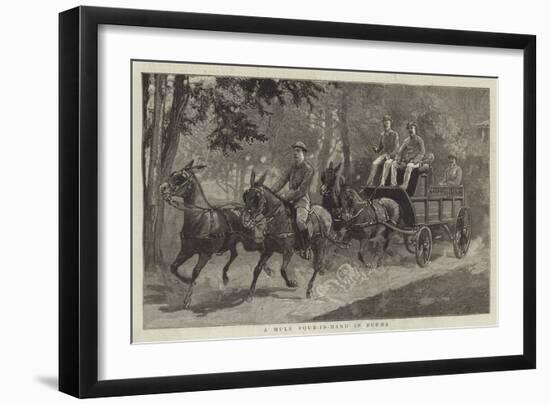 A Mule Four-In-Hand in Burma-null-Framed Giclee Print