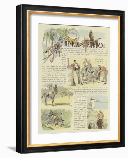 A Mule Ride in Trinidad-null-Framed Giclee Print