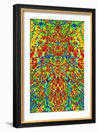 A Multicolored Kaleidoscopic Tapestry-Ray2012-Framed Art Print