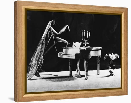 A Musical Praying Mantis-null-Framed Premier Image Canvas