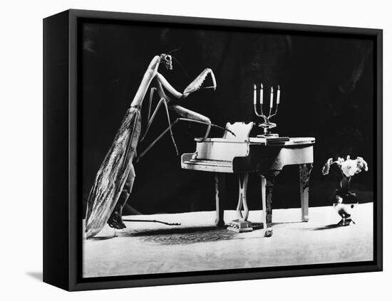 A Musical Praying Mantis-null-Framed Premier Image Canvas