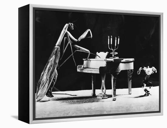 A Musical Praying Mantis-null-Framed Premier Image Canvas