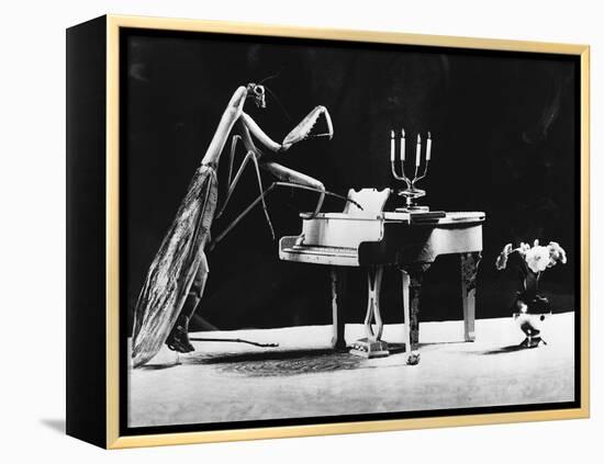 A Musical Praying Mantis-null-Framed Premier Image Canvas