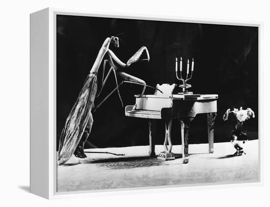 A Musical Praying Mantis-null-Framed Premier Image Canvas