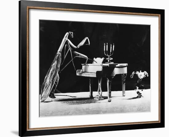 A Musical Praying Mantis-null-Framed Photographic Print