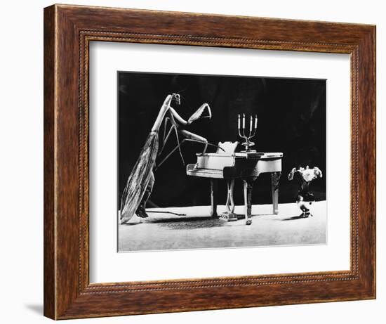 A Musical Praying Mantis-null-Framed Photographic Print