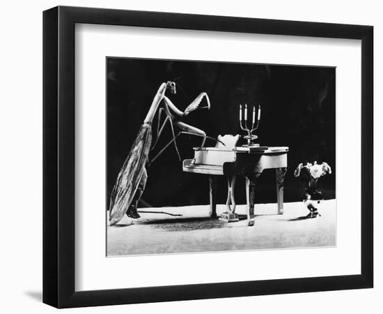 A Musical Praying Mantis-null-Framed Photographic Print