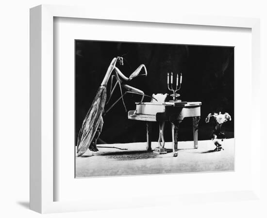 A Musical Praying Mantis-null-Framed Photographic Print