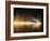 A Mute Swan, Cygnus Olor, Bathes in the Golden Morning Glow-Alex Saberi-Framed Photographic Print