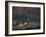 A Mute Swan, Cygnus Olor, Standing at Water's Edge in Winter-Alex Saberi-Framed Photographic Print