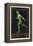 A Naked Athlete Running. Germany 1916 Berlin Olympic Games Poster Stamp, Unused-null-Framed Premier Image Canvas