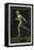 A Naked Athlete Running. Germany 1916 Berlin Olympic Games Poster Stamp, Unused-null-Framed Premier Image Canvas