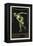 A Naked Discus Thrower. Germany 1916 Berlin Olympic Games Poster Stamp, Unused-null-Framed Premier Image Canvas