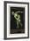 A Naked Discus Thrower. Germany 1916 Berlin Olympic Games Poster Stamp, Unused-null-Framed Giclee Print