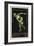 A Naked Discus Thrower. Germany 1916 Berlin Olympic Games Poster Stamp, Unused-null-Framed Giclee Print