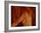 A Naked Female with Bare Breasts-Katrin Adam-Framed Photographic Print