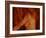 A Naked Female with Bare Breasts-Katrin Adam-Framed Photographic Print