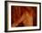 A Naked Female with Bare Breasts-Katrin Adam-Framed Photographic Print