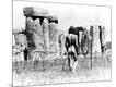 Photographic Print