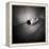 A Naked Woman Tied with Electric Flex Lying on the Floor of a Room-Rafal Bednarz-Framed Premier Image Canvas