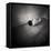 A Naked Woman Tied with Electric Flex Lying on the Floor of a Room-Rafal Bednarz-Framed Premier Image Canvas