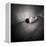 A Naked Woman Tied with Electric Flex Lying on the Floor of a Room-Rafal Bednarz-Framed Premier Image Canvas