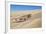 A Namaqua Chameleon Walks On The Sand In The Namib Desert Dunes-Karine Aigner-Framed Photographic Print