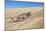 A Namaqua Chameleon Walks On The Sand In The Namib Desert Dunes-Karine Aigner-Mounted Photographic Print