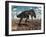 A Nanotyrannus Crushes the Last Flower in a Prehistoric Landscape-Stocktrek Images-Framed Photographic Print