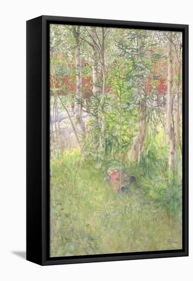 A Nap Out of Doors-Carl Larsson-Framed Premier Image Canvas