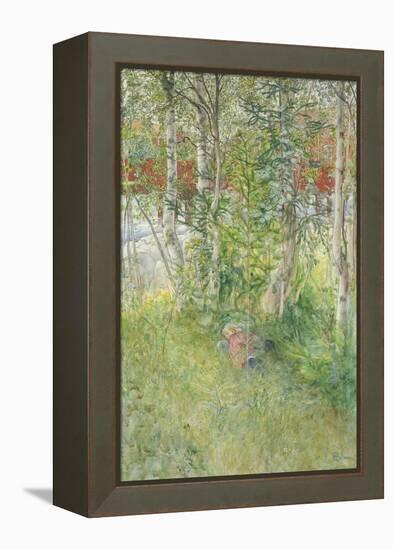 A Nap Outdoors-Carl Larsson-Framed Premier Image Canvas