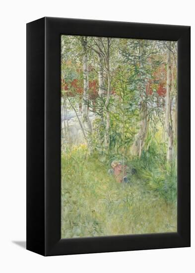 A Nap Outdoors-Carl Larsson-Framed Premier Image Canvas