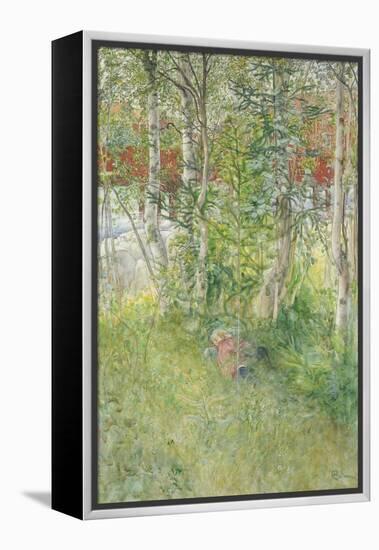 A Nap Outdoors-Carl Larsson-Framed Premier Image Canvas