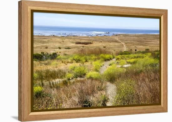 A narrow footpath towards the ocean, San Luis Obispo County, California, Usa.-Susan Pease-Framed Premier Image Canvas