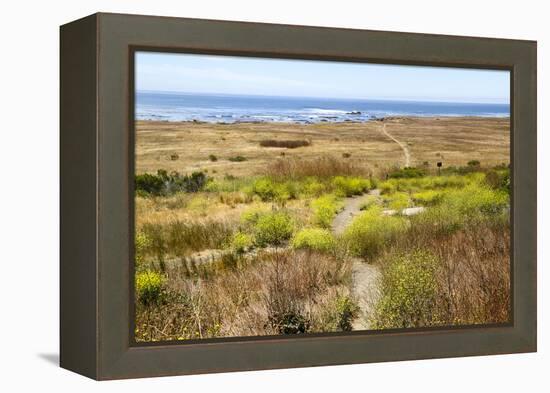 A narrow footpath towards the ocean, San Luis Obispo County, California, Usa.-Susan Pease-Framed Premier Image Canvas