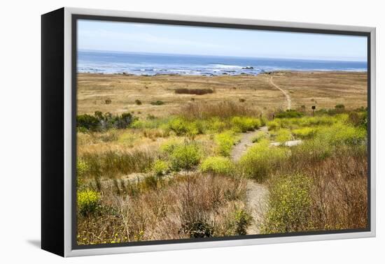 A narrow footpath towards the ocean, San Luis Obispo County, California, Usa.-Susan Pease-Framed Premier Image Canvas