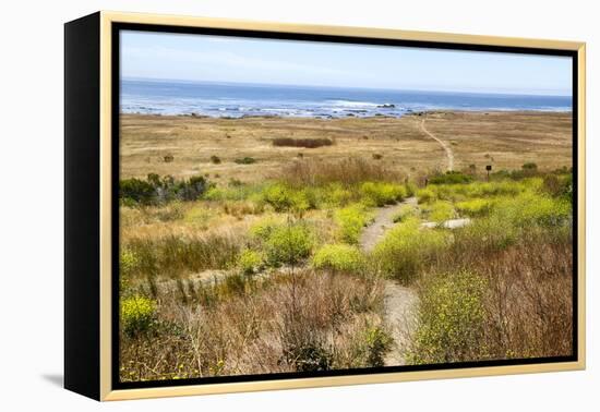 A narrow footpath towards the ocean, San Luis Obispo County, California, Usa.-Susan Pease-Framed Premier Image Canvas