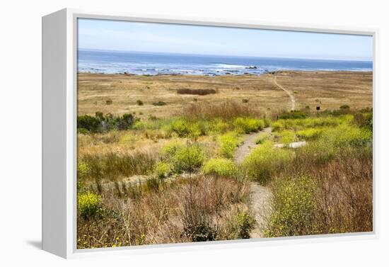 A narrow footpath towards the ocean, San Luis Obispo County, California, Usa.-Susan Pease-Framed Premier Image Canvas