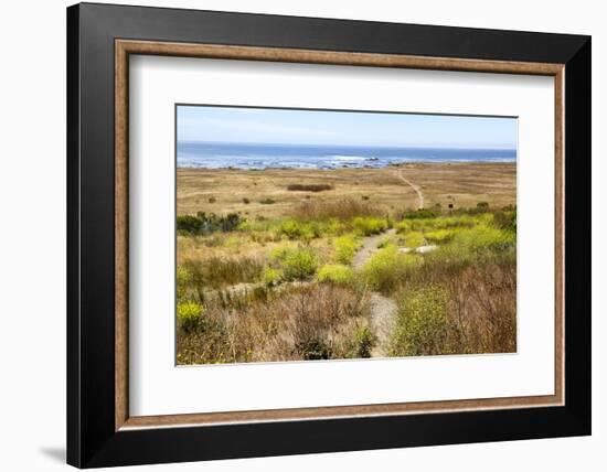A narrow footpath towards the ocean, San Luis Obispo County, California, Usa.-Susan Pease-Framed Photographic Print