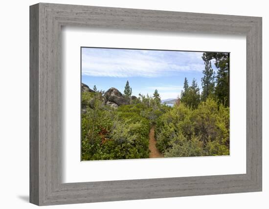 A narrow path at Logan Shoals Vista, Zephyr Cove, Lake Tahoe, Nevada, Usa-Susan Pease-Framed Photographic Print