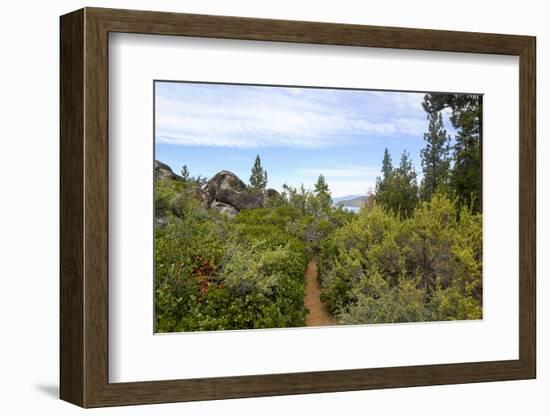 A narrow path at Logan Shoals Vista, Zephyr Cove, Lake Tahoe, Nevada, Usa-Susan Pease-Framed Photographic Print