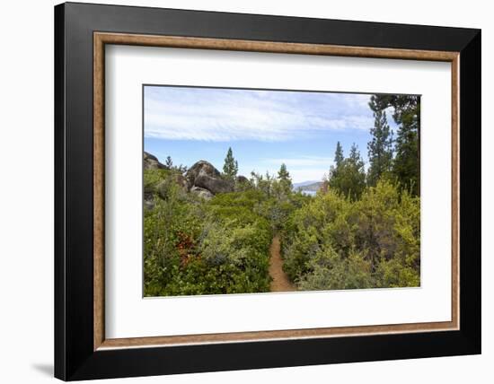 A narrow path at Logan Shoals Vista, Zephyr Cove, Lake Tahoe, Nevada, Usa-Susan Pease-Framed Photographic Print