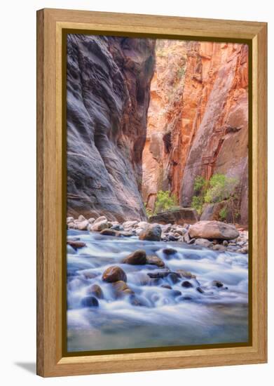 A Narrows View, Zion-Vincent James-Framed Premier Image Canvas