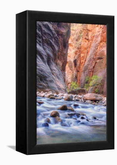 A Narrows View, Zion-Vincent James-Framed Premier Image Canvas