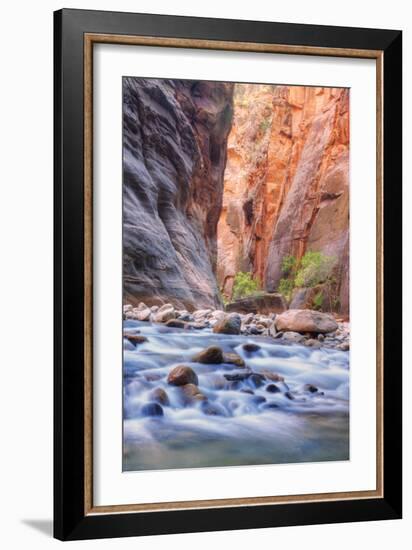 A Narrows View, Zion-Vincent James-Framed Photographic Print