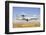 A Nato Awacs E-3A Sentry Landing in Konya, Turkey-Stocktrek Images-Framed Photographic Print