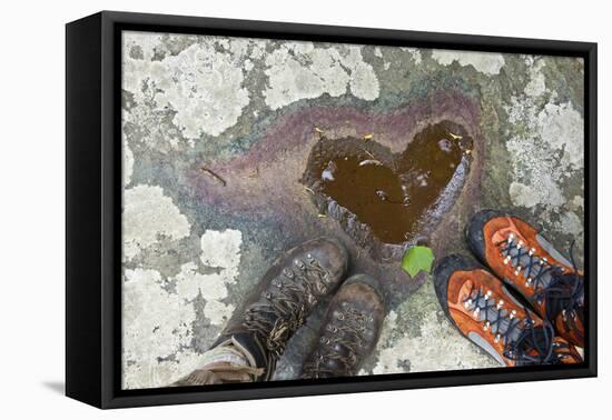 A Natural Pool of Rainwater Forms the Shape of a Heart in Shenandoah National Park, Virginia-Karine Aigner-Framed Premier Image Canvas