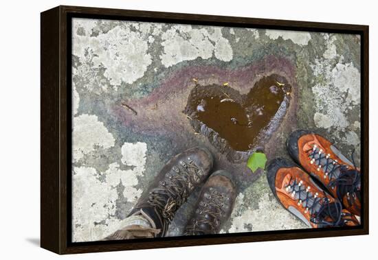 A Natural Pool of Rainwater Forms the Shape of a Heart in Shenandoah National Park, Virginia-Karine Aigner-Framed Premier Image Canvas